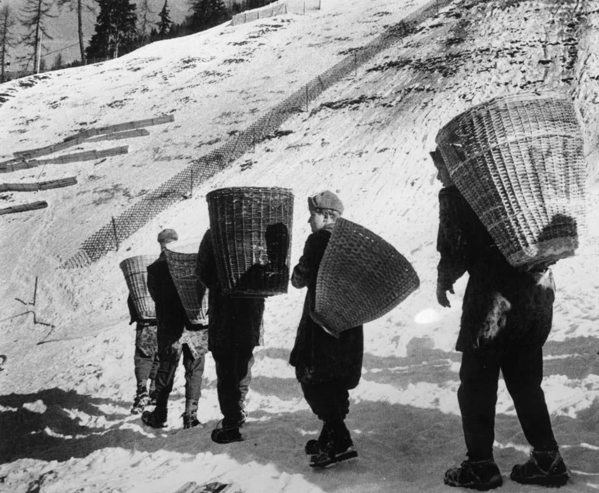 CURIOSIDADES DE LOS JUEGOS OLÍMPICOS DE INNSBRUCK 1964 Historias de